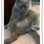2013-05-05_235624_zpsb9e19b31.png